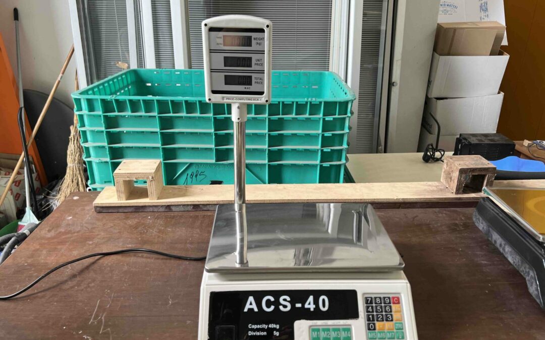 BILANCIA ELETTRONICA DIGITALE PROFESSIONALE DA BANCO MAX 40 KG CON DISPLAY