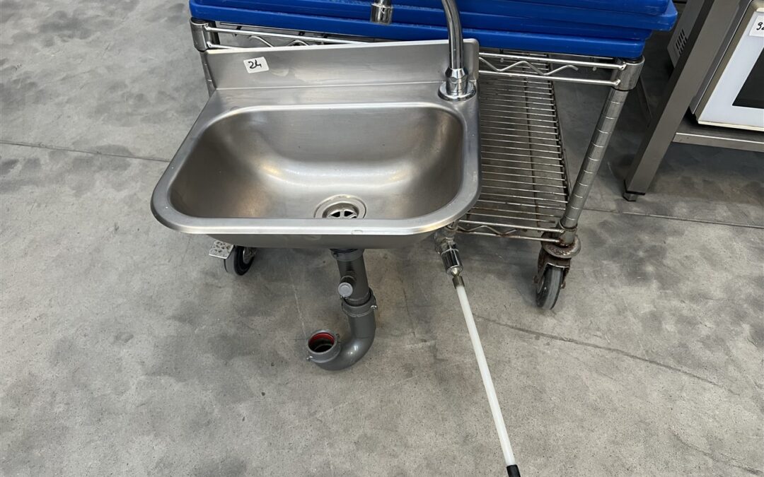 LAVAMANI A GINOCCHIO