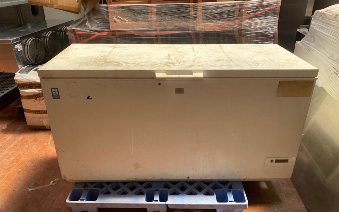 CONGELATORE A POZZETTO PER RACCOLTA SMALTIMENTO RIFIUTI ALIMENTARI